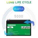 Visench Direct factory high quality 12v 5ah Deep 6000 Cycles Solar Lifepo4