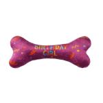 Dog Birthday Stocked Occasion Bandana Bone Chew Toy Set Pet Custom Printed