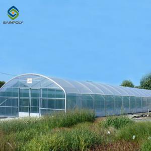 Wholesale Galvanized Steel Hoop Style Greenhouse Single Span Tunnel Strawberry Greenhouse from china suppliers