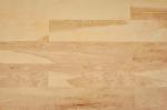 Nordic SPC Rigid Core Vinyl Flooring , Commercial Grade Vinyl Flooring
