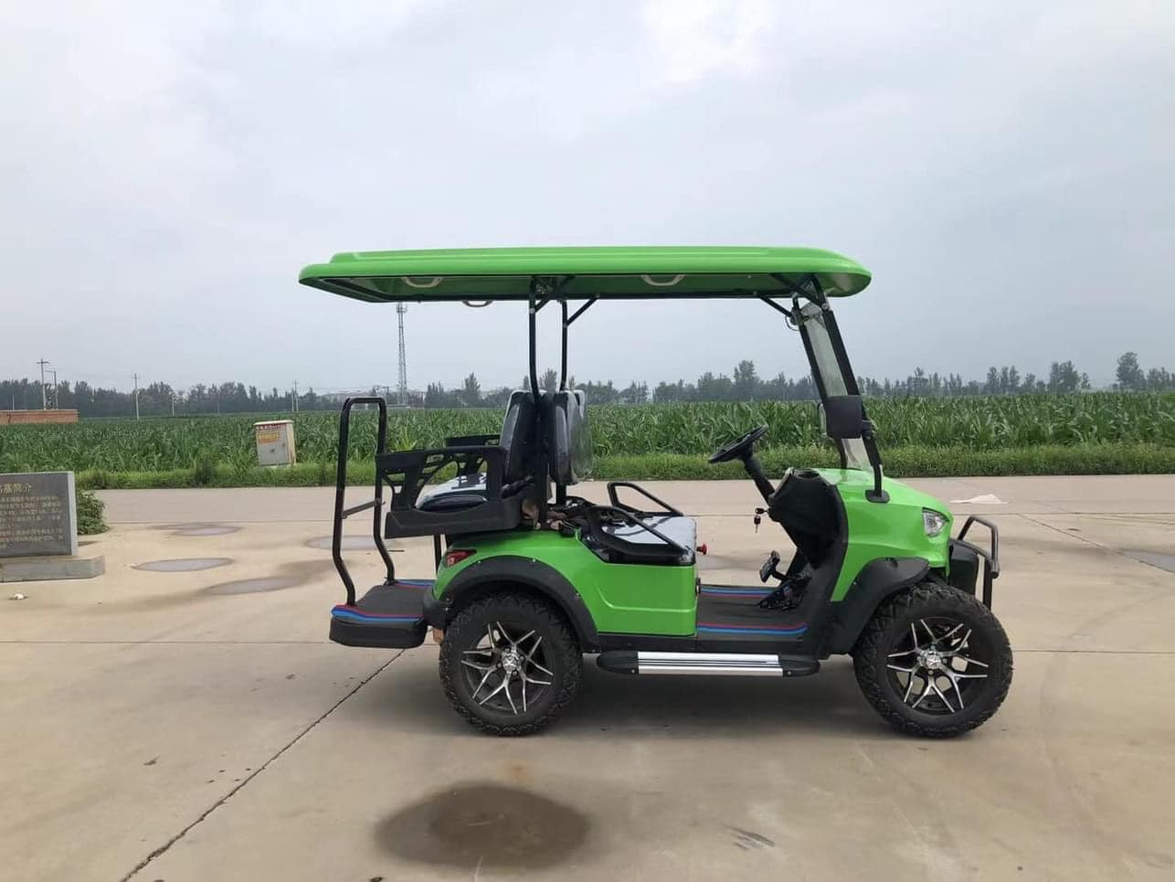 2 4 Seater Electric Golf Carts Cheap Prices Buggy Car Chinese Club Prezzi Four Power Golf Cart