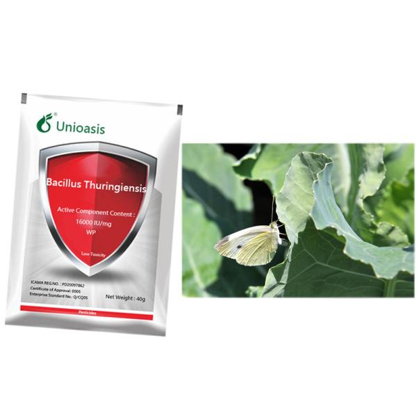 Unioasis Powder Micropesticide Bacillus Thuringiensis Pest Killing Cure Tea