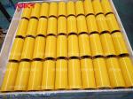 Precision Sealed Bearing Carrying Roller With Waterproof And Dustproof