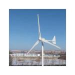 5KW/10Kw Personal Home Wind Turbine Reinforced Glass Fiber Blade