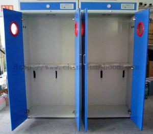 Wholesale Alkali Resistant Flammable Gas Storage Cabinet Practical Multipurpose from china suppliers