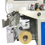 PLC Disposable Mask Packing Machine , earloop Face Mask Packaging Machine 200kg