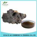 Natural Treat Diabetes Innocuous Health Products Chaga Mushroom Extract Powder