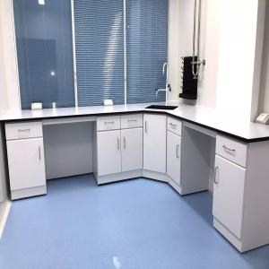 Wholesale School Chemistry Lab Workbench With PP Sink from china suppliers