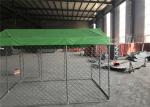 Chain Link Dog Fence /Dog Kennel DIY powder coated hot dipped galvanized mesh