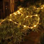 Outdoor IP44 Waterproof LED Holiday Lights 60 LEDs Hemp Solar Fairy Rope Lights