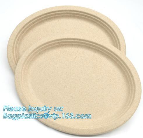biodegradable tableware 5 compartment sugarcane tray,100% Biodegradable