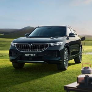 Wholesale 110kW/220N.m Maximum Power/Maximum Torque Dongfeng Voyah Free Hybrid PHEV 4WD 0km Used Cars Sale Lantu Free SUV EV Car from china suppliers