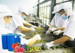 Industrial Blueberry Processing Machinery For Automatic Berry Juice Production
