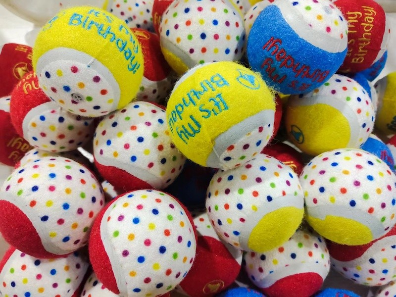 Dog Toy Naughty Nice Holiday Themed Tennis Balls Red Green 2.5" Choose Quantity (5 pack)