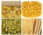 Industrial Vacuum Fruit Food Freeze Dryer Industrial Food Fruit Freeze Drying