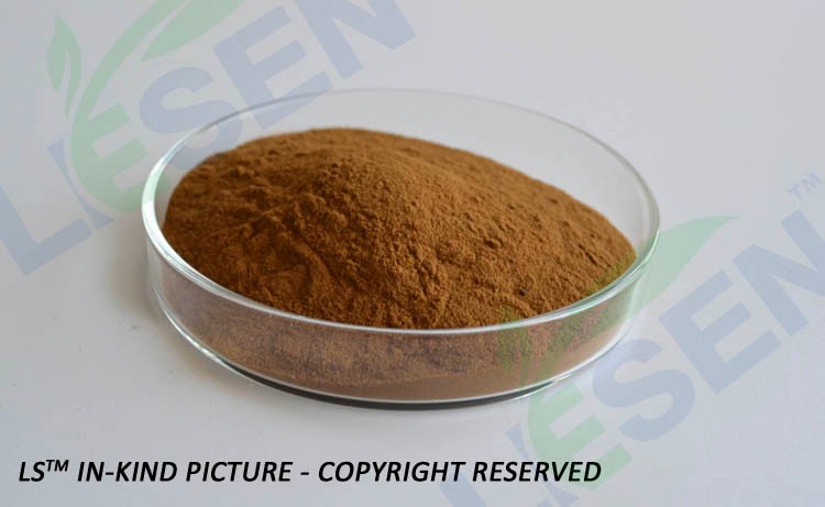 Plant medicine extracts cynara scolymus extract/artichoke leaf extract