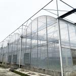 Commercial Industrial Plastic Film Agricultural Multi-span Poly Tunnel