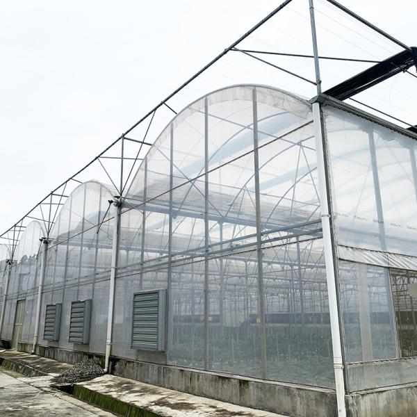 Commercial Industrial Plastic Film Agricultural Multi-span Poly Tunnel