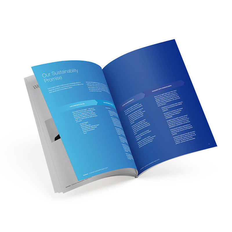 Magazine Full Color Z Fold Leaflet , 14-22 Point A3 Flyer Printing