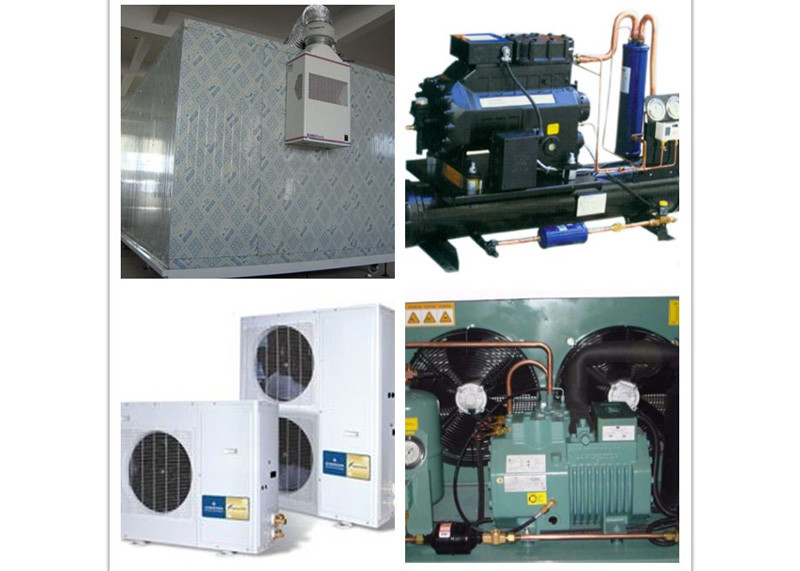 Processing Station Modular Cold Storage Room With Compressor