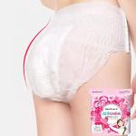 Advanced Bamboo Charcoal Sanitary Pad Trousers for Women's Period Panties in