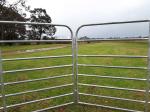 2.9mx1.25m Heavy Duty Steel Economy Pastoral Portable Sheep Yard Panels Goat