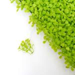 20mm Artificial Green Grass Wall
