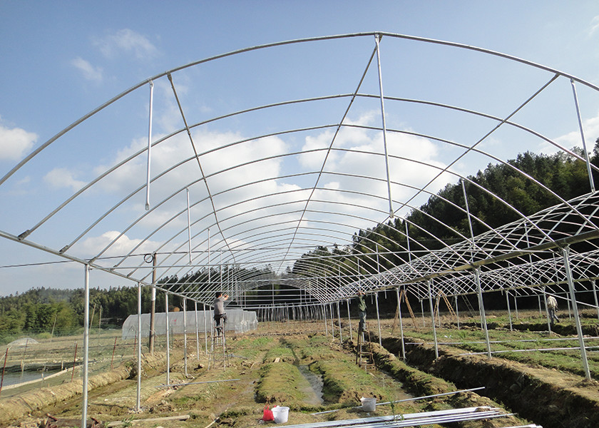 Insectproof Multi Span Greenhouse Sunshading Net For Flower Growing