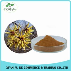 Wholesale Superior Quality Featured Product 5%-98%Chlorogenic Acid Honeysuckle Flower Extract from china suppliers