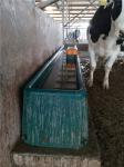 1.8m Large Plastic Water Trough Sheep Animal Husbandry Equipment