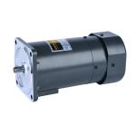 6RK120GN-CF Ac Gear Motor For Food And Beverage Industry