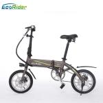 E6-4 2 Wheel Electric Bike 36V 250W Brushless Motor Lithium Battery Aluminum