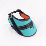 Custom Service Flashing Safety LED Dog Vest Harness , Led Nylon Dog Collar