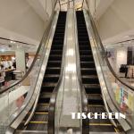 Angel Truss Commercial Stainless Steel Escalator 1000mm With Entrance Protection