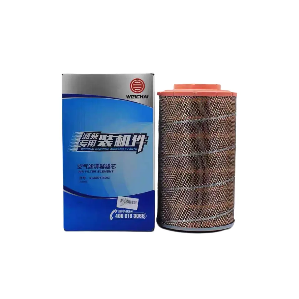 Universal Year Genuine Fuel Water Separator Filter Element FS36231 for Cummins Engine