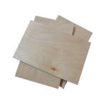 Full Hardwood Core MR 12mm Film Faced Birch Plywood
