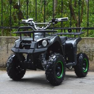 Wholesale 800W Electric ATV for Kids and Adults Take Your Off-Road Adventures to the Next Level from china suppliers