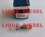 BOSCH Common Rail NOZZLE 0433172271 DLLA149P2271 0 433 172 271 DLLA 149 P 2271