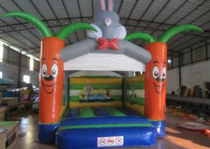 Wholesale Bounce House With Slide 0.55mm Pvc Tarpaulin , Indoor Inflatable Bounce House from china suppliers