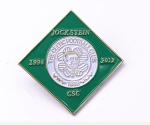 Popular Custom Made Enamel Badges , Metal Die Struck Lapel Pins