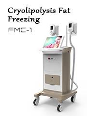 Wholesale Vacuum Fat freeze cryolipolysis slimming multipolar radiofrecuency crolipolysis machine from china suppliers