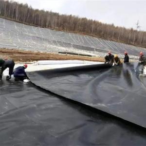 China White HDPE Geomembrane Fish Farming Tank Pond Liner for Fish Ponds and Long-Lasting on sale