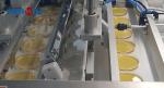 Automatic Petri Dish Filling Machine. Insulation Filling Needle. Production