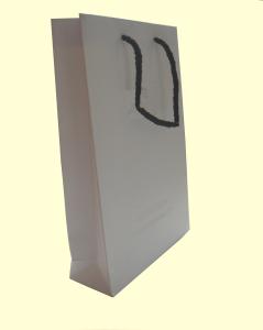 Wholesale custom design and printing paper gift bag from china suppliers