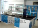 Rectangular School Science Laboratory Furniture Flexible Steel And Wood