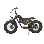 Off-road Fat Tire Electric Kids Bike with Aluminum Alloy Frame and Hydraulic
