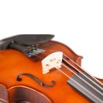 Manufacturers Decorative Violin From Musical Works Trusted Name In Musical