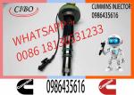 2881089 2882130 Diesel Fuel Injector F00BJ00008 F00BJ00009 0986435616 0986435905
