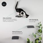 Stable Metal Wall Step Cat Stairs Create an Exciting Adventure Landscape for