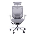 Cable Control IFIT Ergonomic Chair Adjustable Swivel Chair Lumbar Support Chair